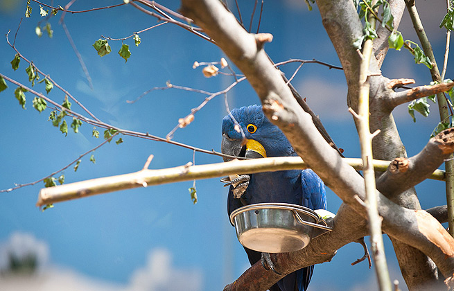 ddos攻击防御手段