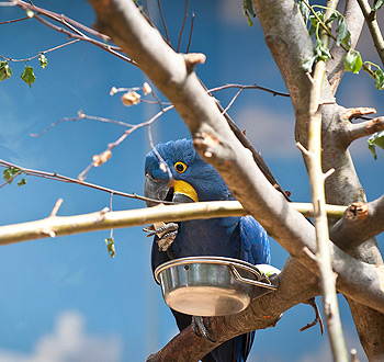 ddos攻击ip软件下载