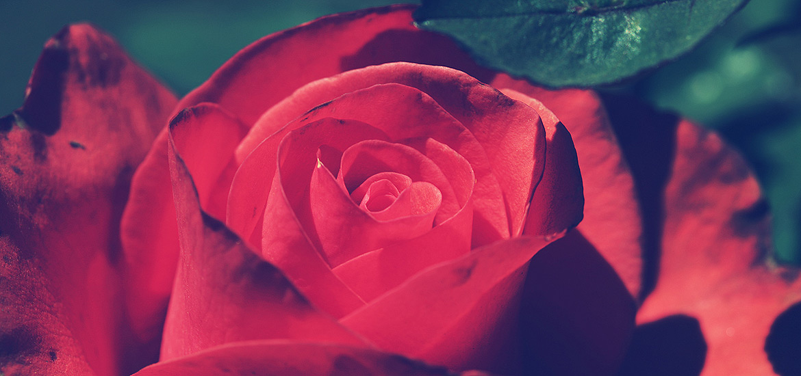 ddos攻击器安卓ios下载